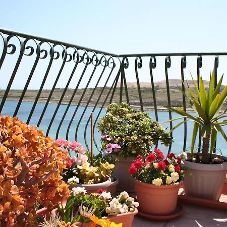 White Dolphin Complex