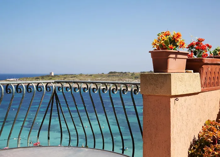 White Dolphin Complex Lejlighedshotel 3*