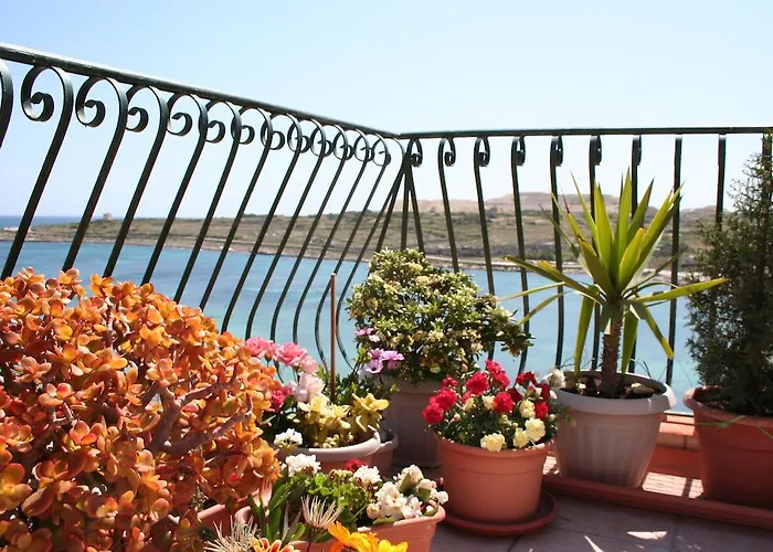 White Dolphin Complex